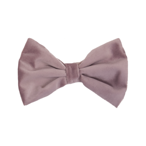 Kentucky Dogwear Fliege - Samt - L - Smaragdgrün Kentucky Dogwear Fliege - Samt - L - Smaragdgrün von Kentucky
