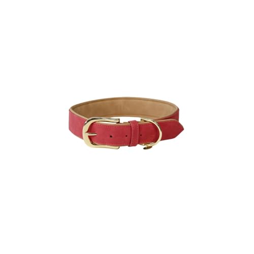 Kentucky Dogwear Hundehalsband Geflochtenes Nylon - Hellblau - XXS Kentucky Dogwear Hundehalsband Geflochtenes Nylon - Hellblau - XXS von Kentucky