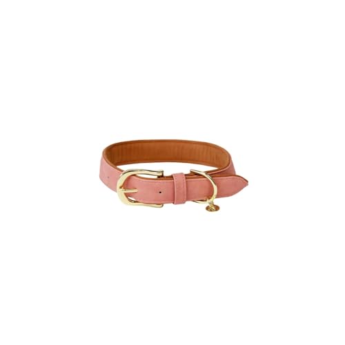 Kentucky Dogwear Hundehalsband Geflochtenes Nylon - Orange - M/L Kentucky Dogwear Hundehalsband Geflochtenes Nylon - Orange - M/L von Kentucky