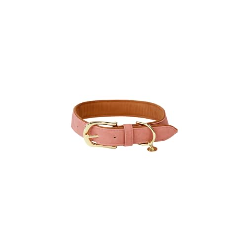 Kentucky Dogwear Hundehalsband Vegan Leder - Pfirsich - XS Kentucky Dogwear Hundehalsband Vegan Leder - Pfirsich - XS von Kentucky