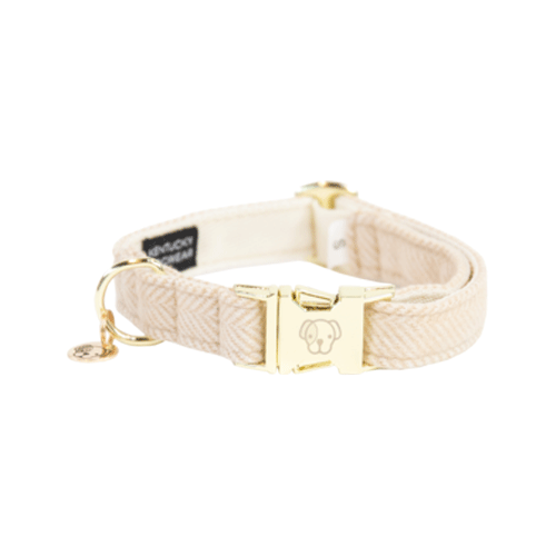 Kentucky Dogwear Hundehalsband - Wool - Beige - XS - 25-38 cm von Kentucky