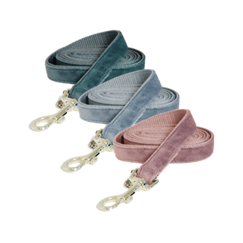 Kentucky Dogwear Hundeleine Velvet - 120 cm - Smaragd Kentucky Dogwear Hundeleine Velvet - 120 cm - Smaragd von Kentucky