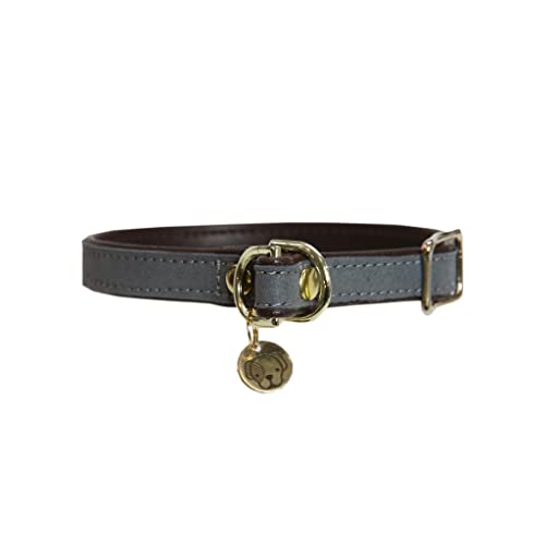 Kentucky Dogwear Loop Hundehalsband, Größe:M, Farbe:grau Kentucky Dogwear Loop Hundehalsband, Größe:M, Farbe:grau von Kentucky