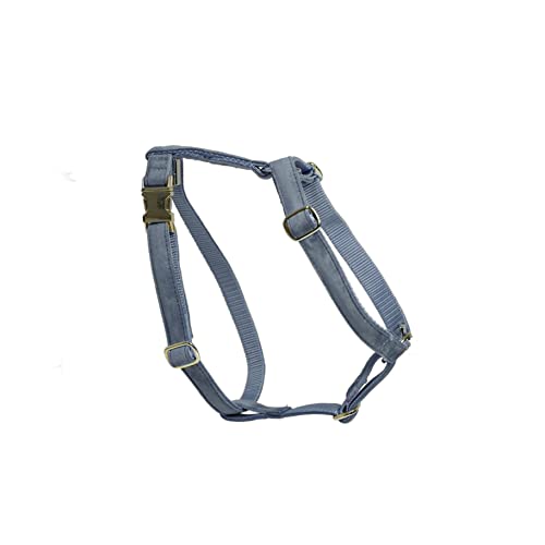 Kentucky - Lauf Hundegeschirr - Hellblau - Größe S - 37-64cm Kentucky - Lauf Hundegeschirr - Hellblau - Größe S - 37-64cm von Kentucky