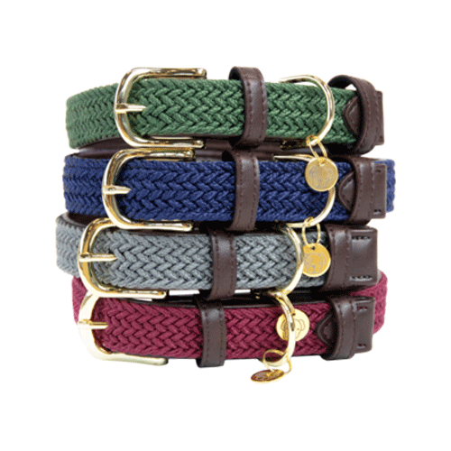 Kentucky Dogwear - Nylon - Geflochten - S - Olive Grün - 42 cm von Kentucky