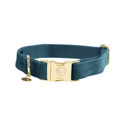 Kentucky Dogwear - Velvet - XS - Hellblau von Kentucky