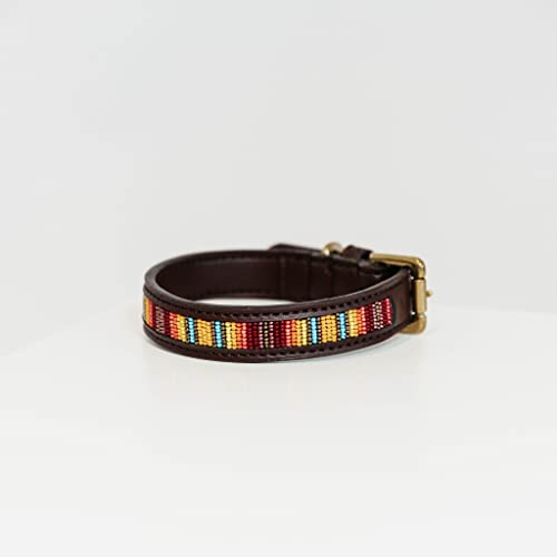 Kentucky - Handgefertigte Perlen Hundehalsband - M - Leder - Pure orange Kentucky - Handgefertigte Perlen Hundehalsband - M - Leder - Pure orange von Kentucky