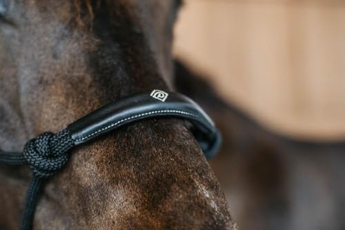 Kentucky - Dyon Trainingshalfter Schwarz Full WBD von Kentucky