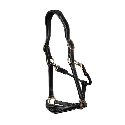 Kentucky - Halfter Full - Schwarz - Leder von Kentucky