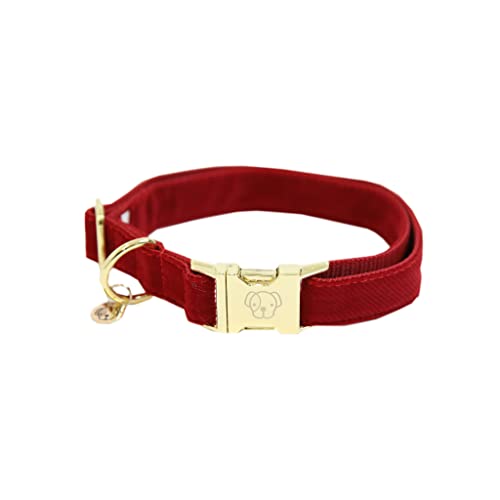 Kentucky Halsband Dog Collar 'Corduroy' - Red, Größe:M von Kentucky Dogwear