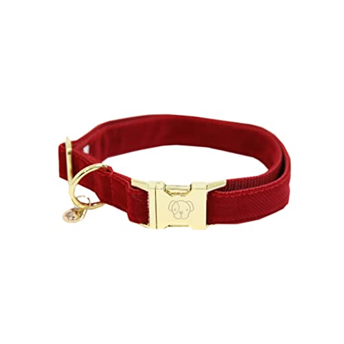 Kentucky Halsband Dog Collar 'Corduroy' - Red, Größe:S Kentucky Halsband Dog Collar 'Corduroy' - Red, Größe:S von Kentucky