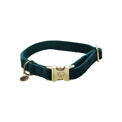 Kentucky - Hunde Halsband velvet emerald M'36-52cm Kentucky - Hunde Halsband velvet emerald M'36-52cm von Kentucky