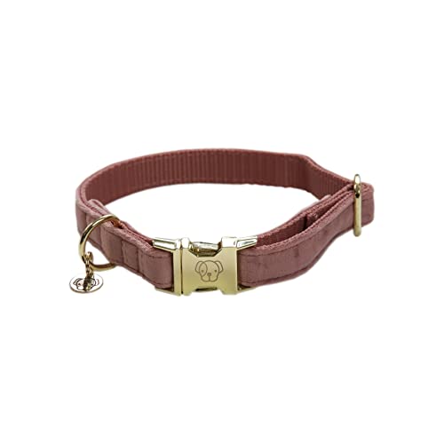 Kentucky Halsband Dog Collar 'Velvet' - Old Rose, Größe:M von Kentucky