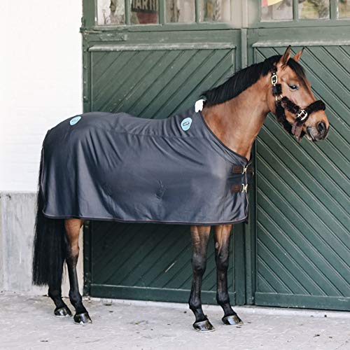 Kentucky Horsewear Magnetic Rug Recuptex Farbe: Marine Größe: 155 von Kentucky