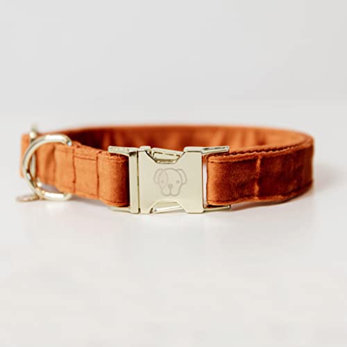 Kentucky Hundehalsband Velvet - Orange - XS von Kentucky