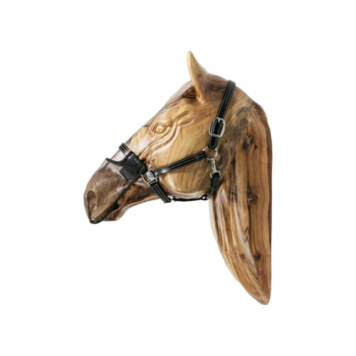 Kentucky - Nasen Netz braun medium von Kentucky