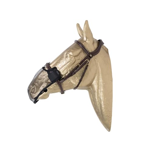 Kentucky - Nasen Netz schwarz medium von Kentucky