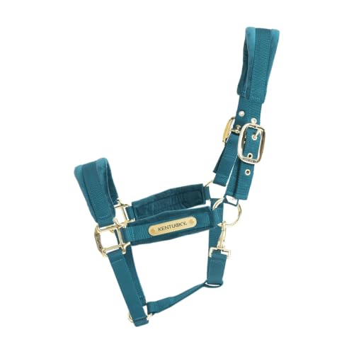 Kentucky - Halfter Mini SHETTY - Emerald - Samt von Kentucky