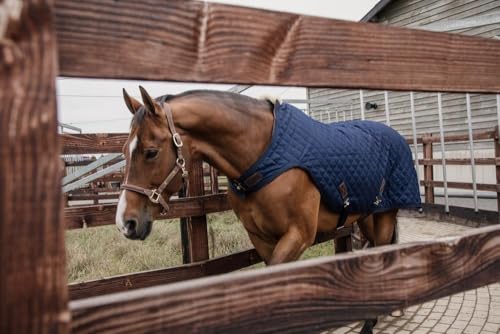 Kentucky Walker Rug Führanlagendecke 160 g Größe: 140 Farbe: Navy von Kentucky