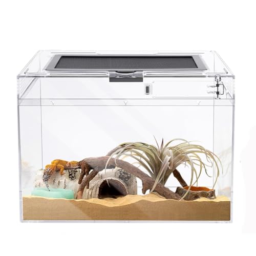 360° PC Terrarium für Reptilien, 40*20*25cm Transparent Reptil Fütterungsbox für Schnecken,Insekten,Wasserschildkröten,Vogelspinnen,Springspinne,Leopard Gecko,Bärtiger Drache,Frosch (15.7*8*10in) von Kepuarm