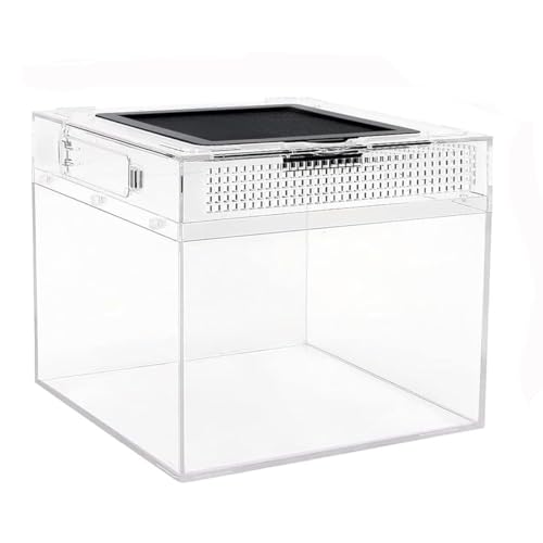 360° PC Terrarium für Reptilien,20*20*18cm Transparent Reptil Fütterungsbox für Schnecken,Insekten,Wasserschildkröten,Vogelspinnen,Springspinne,Leopard Gecko,Bärtiger Drache,Frosch (8*8*7inch) von Kepuarm