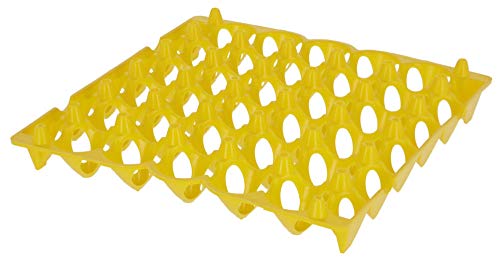 Kerbl Hobbyfarming Eier Aufbewahrung aus Kunststoff für 30 Eier Kerbl Hobbyfarming Eier Aufbewahrung aus Kunststoff für 30 Eier von Kerbl Hobbyfarming