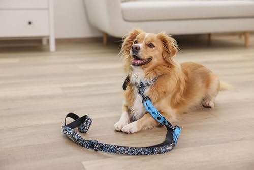 Kerbl Pet Halsband Lima, blau/schwarz, 25mm x 36-45 cm von Kerbl Pet