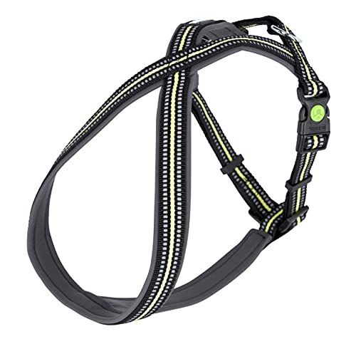 Kerbl Pet Flexi 80234 Geschirr Xenos 15mmx30-40cm, schwarz/Neongelb, 0.070 kg Kerbl Pet Flexi 80234 Geschirr Xenos 15mmx30-40cm, schwarz/Neongelb, 0.070 kg von Kerbl Pet