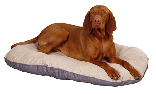 Kerbl Liegekissen Loneta (Farbe Beige/Grau, L x B x H 58 x 43 x 7 cm, Hundekissen, beidseitig verwendbar) 80353 Kerbl Liegekissen Loneta (Farbe Beige/Grau, L x B x H 58 x 43 x 7 cm, Hundekissen, beidseitig verwendbar) 80353 von Kerbl Pet