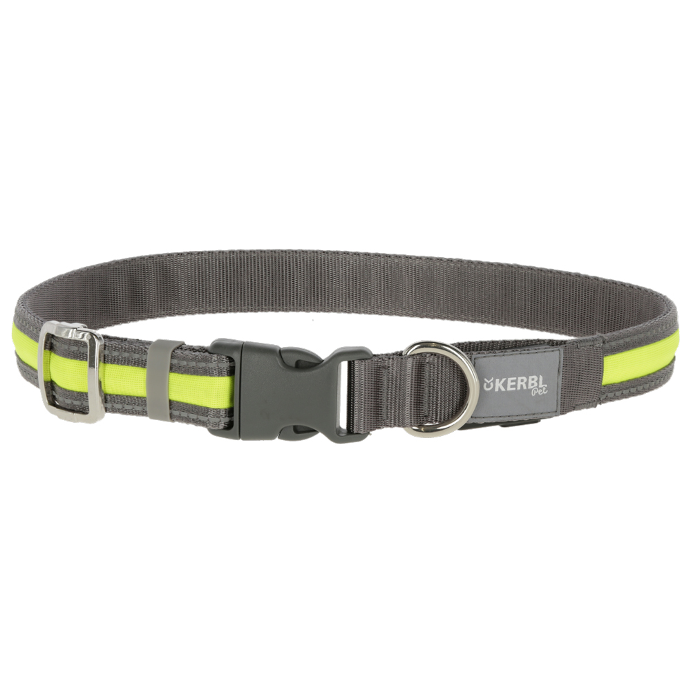 Kerbl Pet Light & Reflex Leuchtleine - 120 cm lang, 25 mm breit von Kerbl Pet