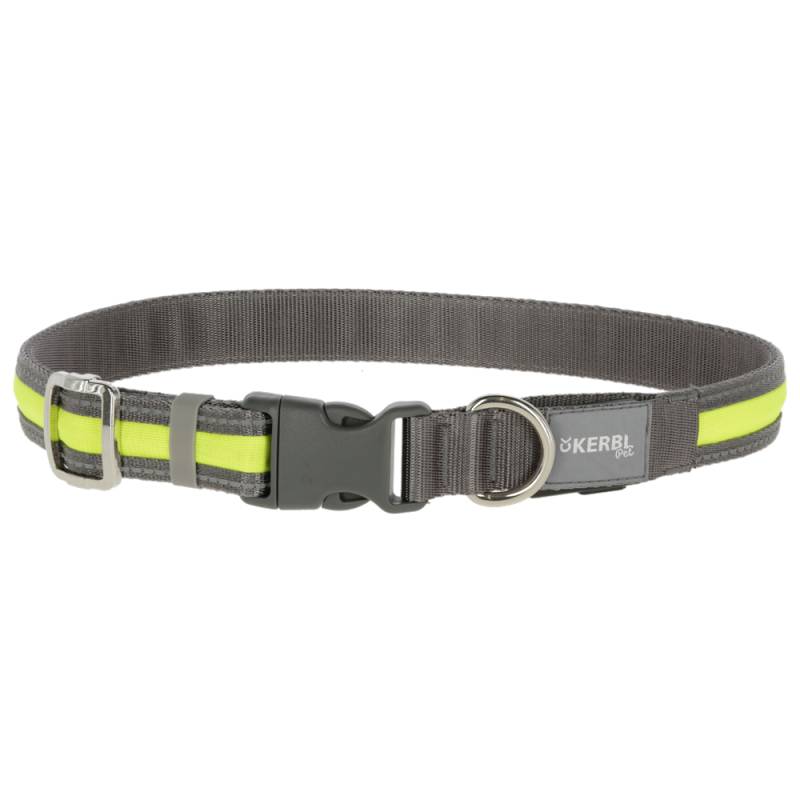 Kerbl Pet Light & Reflex Leuchtleine - 120 cm lang, 25 mm breit von Kerbl Pet
