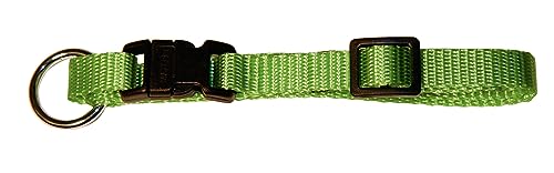 Kerbl Pet Miami Halsband, apfelgrün 25 mm, verstellbar 45-65 cm von Kerbl Pet
