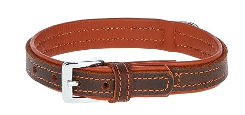 Kerbl Pet VEGAS HQ Halsband, braun 30mm / 41 - 47 cm Kerbl Pet VEGAS HQ Halsband, braun 30mm / 41 - 47 cm von Kerbl Pet