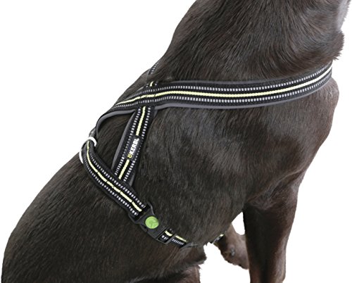 Kerbl Pet Flexi 80235 Geschirr Xenos 18mmx40-60cm, schwarz/Neongelb, 0.12 kg Kerbl Pet Flexi 80235 Geschirr Xenos 18mmx40-60cm, schwarz/Neongelb, 0.12 kg von Kerbl Pet