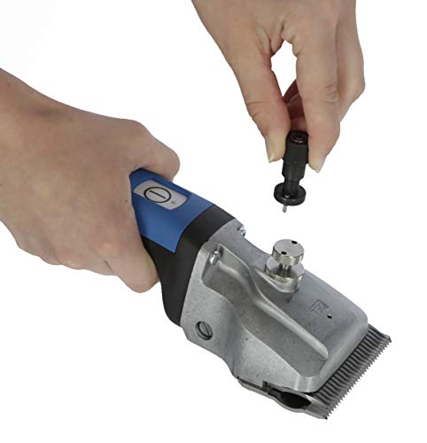Aesculap GT654-BL-AA Großtierschermaschine Bonum mit Torqui, Akku Schermaschine, Pferd/ blau Aesculap GT654-BL-AA Großtierschermaschine Bonum mit Torqui, Akku Schermaschine, Pferd/ blau von Kerbl