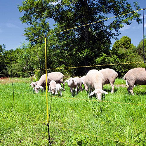 EasyNet Schafnetz mit Bodenabstand, 105 cm von AKO Fencing