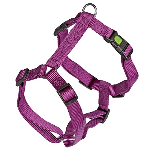 Geschirr MIAMI, lila, 20 mm, 55 - 76 cm Geschirr MIAMI, lila, 20 mm, 55 - 76 cm von Kerbl