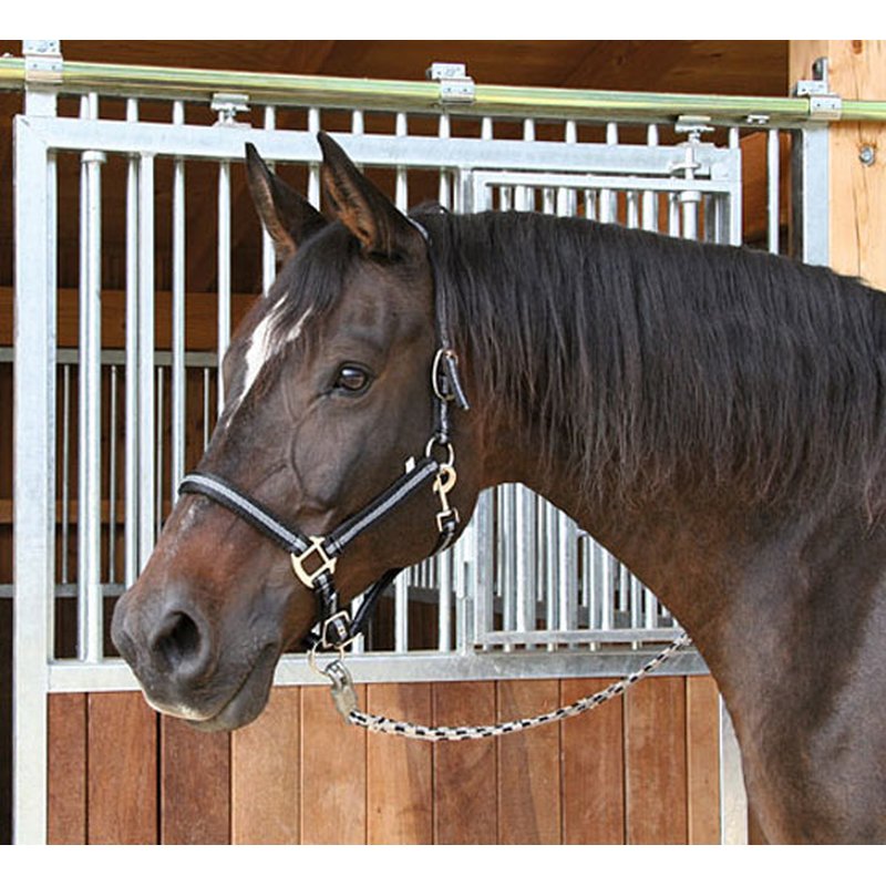 Halfter Mustang - schwarz/silber - Gr.2 Vollblut (Cob) von Kerbl