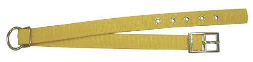 Halsband f.Schafe,D-Ring u.Öse gelb, 25mm, 70 cm lang Halsband f.Schafe,D-Ring u.Öse gelb, 25mm, 70 cm lang von Kerbl