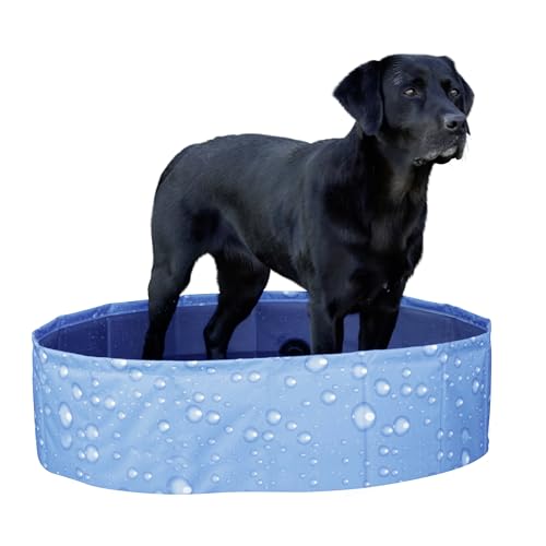 KERBL 80738 Hundepool Bubble, 80x80x20cm, Pool für Hunde, blau von Kerbl