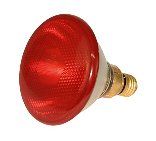 Kerbl 22246 Infrarotlampe Par38, Sparlampe Infrarot, Stalllampe Wärmelampe, 100W Kerbl 22246 Infrarotlampe Par38, Sparlampe Infrarot, Stalllampe Wärmelampe, 100W von Kerbl
