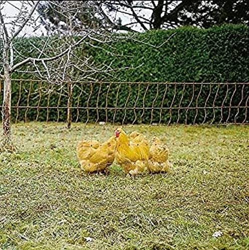 Kerbl Geflügelnetz (Farbe orange, elektrifizierbar, L x H 50 m x 106 cm, Anzahl Pfähle 15, für Hühner/Gänse und Puten) 292271 von Kerbl Hobbyfarming