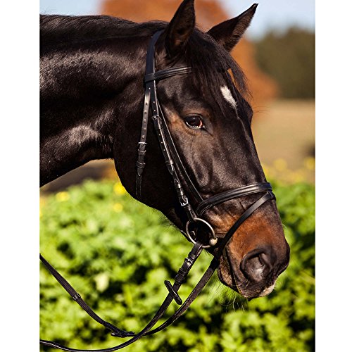 Kerbl 32172 Trensen-Zaum Standard Leder für Warmblut, schwarz von Kerbl