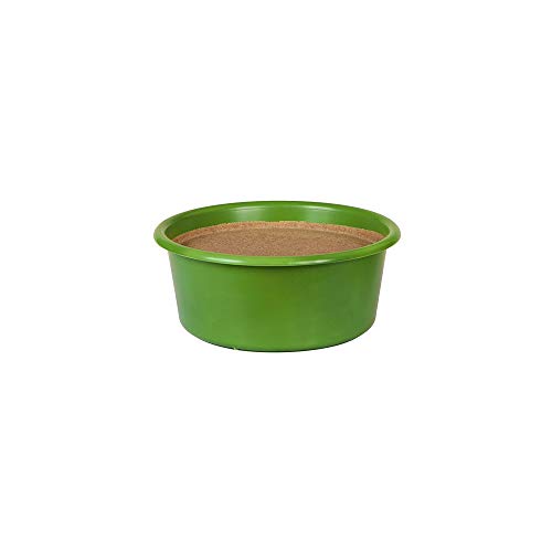 Kerbl Delizia Leckschale Bronchial (für Pferde, 6 kg Schale, ideal für die Weide/im Laufstall/Paddock, in Lebensmittelechter Schale) 325125 Kerbl Delizia Leckschale Bronchial (für Pferde, 6 kg Schale, ideal für die Weide/im Laufstall/Paddock, in Lebensmittelechter Schale) 325125 von Kerbl