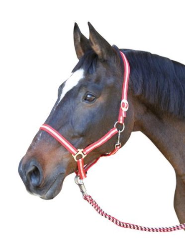 Kerbl 328243 Halfter Nylonhalfter Hippo Gr. 1 Pony bordeaux/beige Kerbl 328243 Halfter Nylonhalfter Hippo Gr. 1 Pony bordeaux/beige von Kerbl