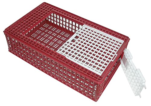 Kerbl 73100 Geflügel-Transportbox PVC von Kerbl Hobbyfarming