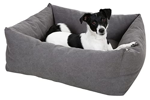 Kerbl Kuschelbett Lucca (Farbe grau, L x B x H 85 x 100 x 26 cm, mit herausnehmbarem Liegekissen, waschbar) 80348 Kerbl Kuschelbett Lucca (Farbe grau, L x B x H 85 x 100 x 26 cm, mit herausnehmbarem Liegekissen, waschbar) 80348 von Kerbl Pet