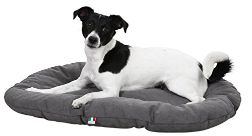 Kerbl Liegekissen Lucca (Farbe Grau, L x B x H 117 x 75 x 11 cm, Hundekissen, aus hochwertigem Canvasstoff) 80352 Kerbl Liegekissen Lucca (Farbe Grau, L x B x H 117 x 75 x 11 cm, Hundekissen, aus hochwertigem Canvasstoff) 80352 von Kerbl Pet