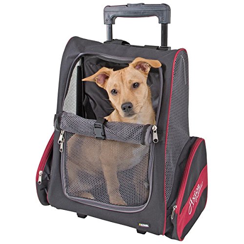 Kerbl 80596 Trolly Axion, 42 x 25 x 55 x 103 cm, schwarz/rot von Kerbl