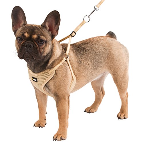 Kerbl Pet 81086 Welpengeschirr mit Leine, beige, 24-44 cm/10 mm Kerbl Pet 81086 Welpengeschirr mit Leine, beige, 24-44 cm/10 mm von Kerbl Pet